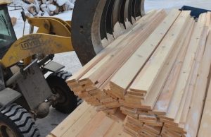 В Горном Алтае разрабатывают концепцию развития лесной отрасли
