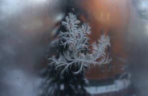 Последний день ноября принесет оттепель, а декабрь начнется с морозов