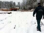 Суд обязал лесорубов очистить участки от остатков древесины