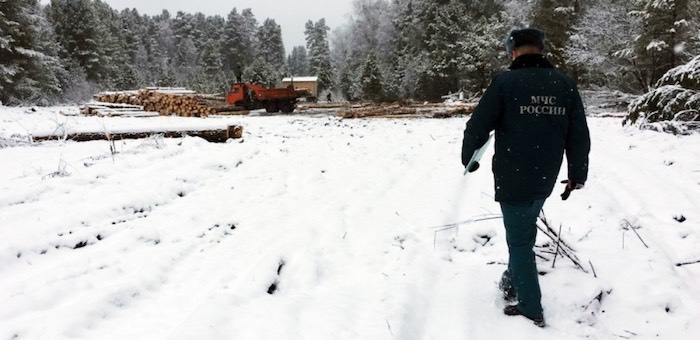 Суд обязал лесорубов очистить участки от остатков древесины