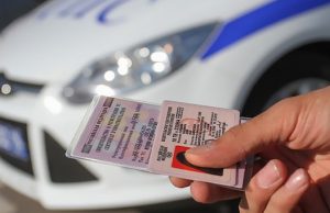 Дальнобойщик из Онгудая ездил с фальшивыми правами