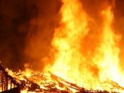 Свыше 900 голов скота заживо сгорело в загоне около Жана-Аула