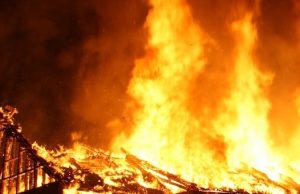 Свыше 900 голов скота заживо сгорело в загоне около Жана-Аула