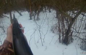 Браконьеры охотились с джипа на косуль