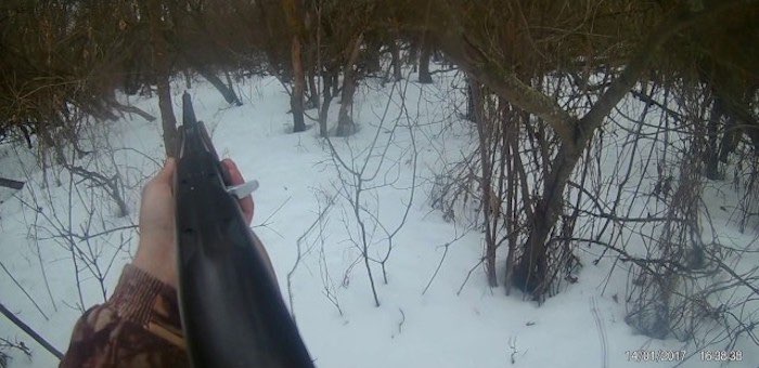 Браконьеры охотились с джипа на косуль