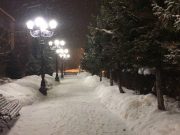 Небольшой снег и метели ожидаются на Алтае в выходные