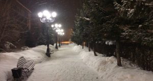 Небольшой снег и метели ожидаются на Алтае в выходные