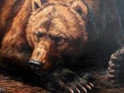 В Алтайском заповеднике медведи наконец-то уснули
