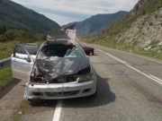 Водитель, не сумевший объехать на дороге корову, ответит в суде за гибель пассажирки