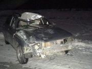 Очередное ДТП из-за разгуливающего по дороге скота произошло в Улаганском районе