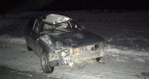 Очередное ДТП из-за разгуливающего по дороге скота произошло в Улаганском районе