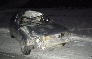 Очередное ДТП из-за разгуливающего по дороге скота произошло в Улаганском районе