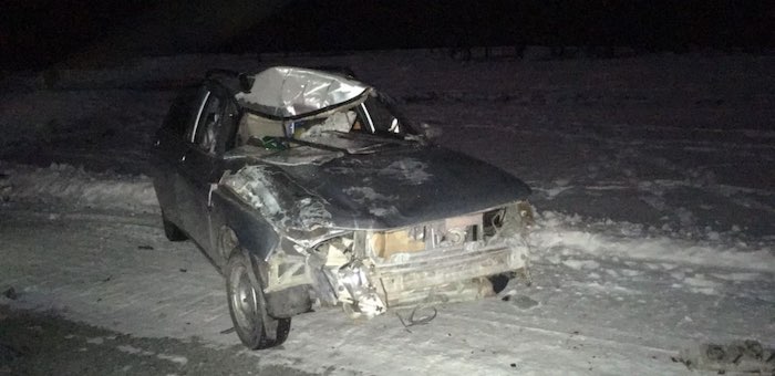 Очередное ДТП из-за разгуливающего по дороге скота произошло в Улаганском районе