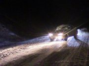 Лошади продолжают попадать под колеса автомобилей