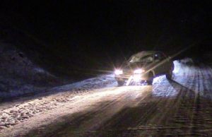 Лошади продолжают попадать под колеса автомобилей