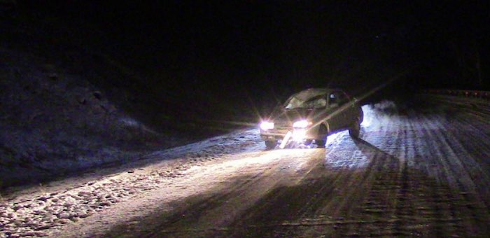 Лошади продолжают попадать под колеса автомобилей