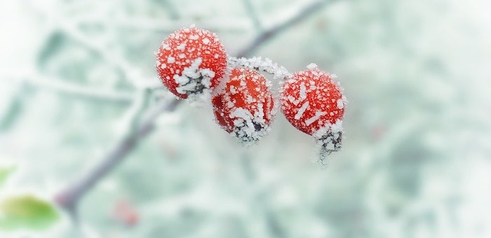 В Республику Алтай пришли сильные морозы