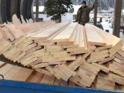 В прошлом году поставки необработанных лесоматериалов на экспорт сократились