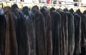 Покупая норковую шубу в «Одноклассниках», жительница Горно-Алтайска потеряла 130 тысяч