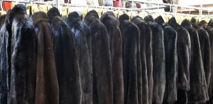 Покупая норковую шубу в «Одноклассниках», жительница Горно-Алтайска потеряла 130 тысяч