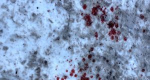 Братья из Дьектиека жестоко убили знакомого из-за давнего конфликта