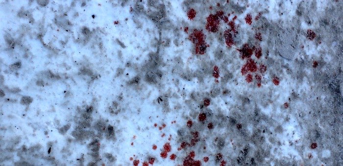 Братья из Дьектиека жестоко убили знакомого из-за давнего конфликта