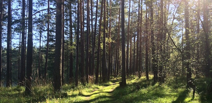 Кыдатов и компания попытались оспорить включение своих земель в состав памятника природы