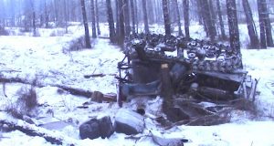На заготовке древесины погиб тракторист, на которого рухнул ДТ-75