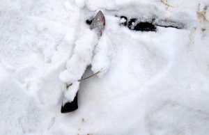 Ссора двух братьев из-за дров закончилась жестоким убийством
