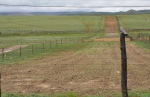 В Республике Алтай вдоль государственной границы действует карантинная полоса