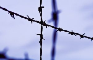 Мужчина и женщина, избившие знакомую до смерти, приговорены к лишению свободы