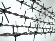 Жестокую убийцу из Турочака приговорили к тюремному сроку