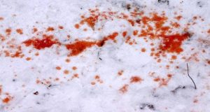 В Онгудае задержан подозреваемый в убийстве местного жителя