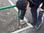 Более пятисот тайников с наркотиками обнаружили полицейские на Алтае с начала года