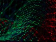 Что такое нейросеть — объяснение простыми словами