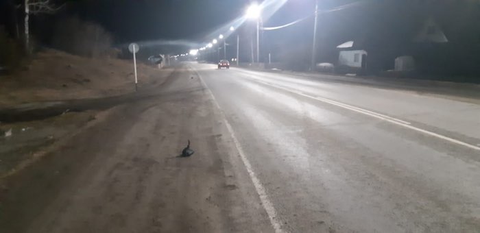 В Соузге после погони силовики остановили машину, в которой перевозили марихуану