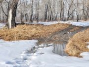 Весеннее тепло возвращается на Алтай