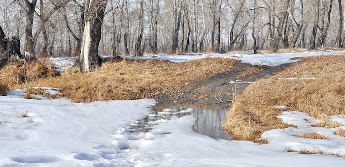 Весеннее тепло возвращается на Алтай