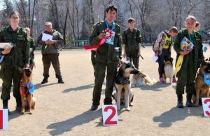 25 собак приняли участие в соревнованиях по общему курсу дрессировки