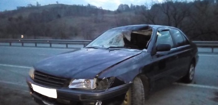 В районе аэропорта под колесами автомобиля погиб пешеход