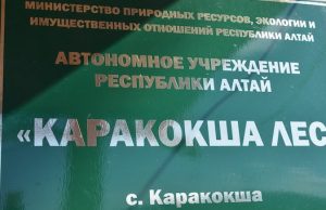 Бывший директор учреждения «Каракокша лес» обвиняется в растрате