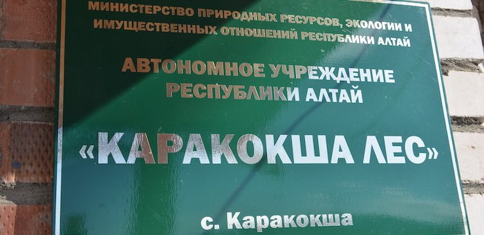 Бывший директор учреждения «Каракокша лес» обвиняется в растрате