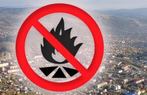 Особый противопожарный режим вводится в Горно-Алтайске с 15 апреля