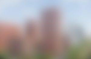 Где можно найти информацию по компаниям в районе Печатники?