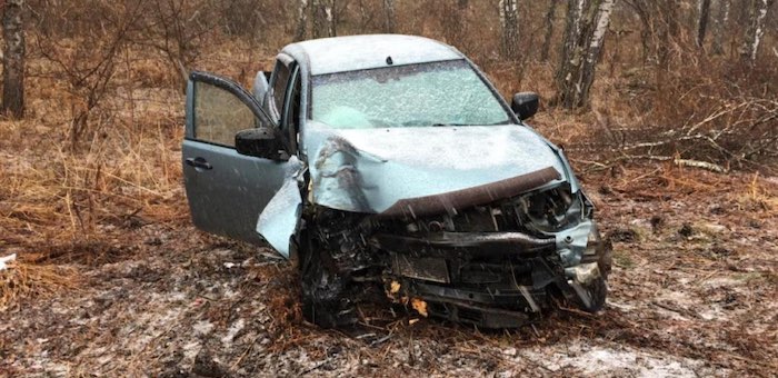 Житель Майминского района разбил автомобиль об дерево