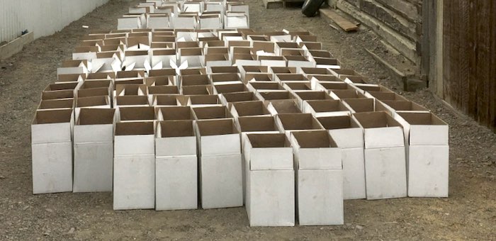 Около 3 тысяч бутылок нелегальной водки изъяли в Кош-Агаче