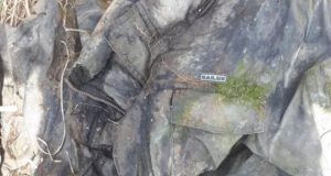 В лесу обнаружен труп мужчины, полиция просит помочь с опознанием