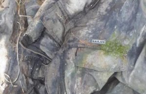В лесу обнаружен труп мужчины, полиция просит помочь с опознанием