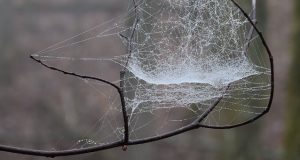 Похолодание и осадки прогнозируют синоптики на выходные
