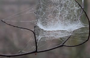 Похолодание и осадки прогнозируют синоптики на выходные